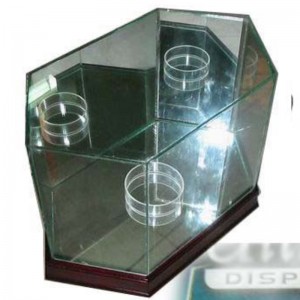 Octagon Football Glass Display case